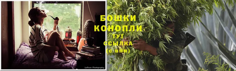 Каннабис Ganja  нарко площадка официальный сайт  Белореченск 